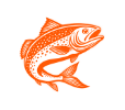 Premium Cold Smoked Salmon Canada