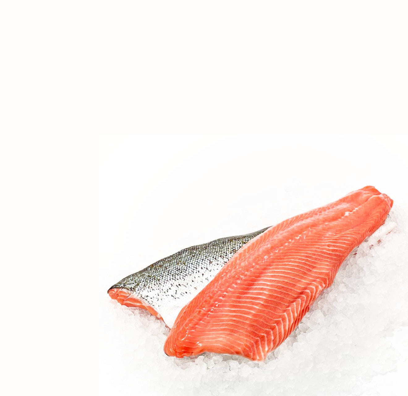 Premium Cold Smoked Salmon Canada